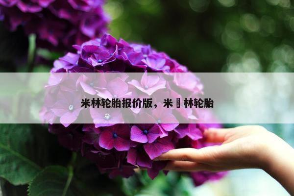 米林轮胎报价版，米粸林轮胎