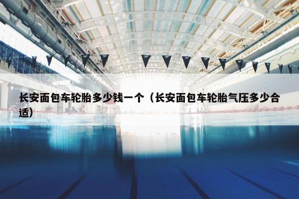 长安面包车轮胎多少钱一个（长安面包车轮胎气压多少合适）
