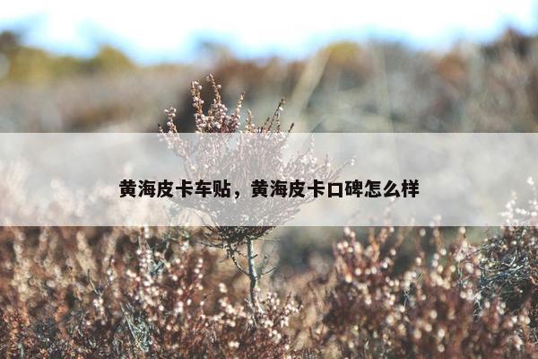 黄海皮卡车贴，黄海皮卡口碑怎么样