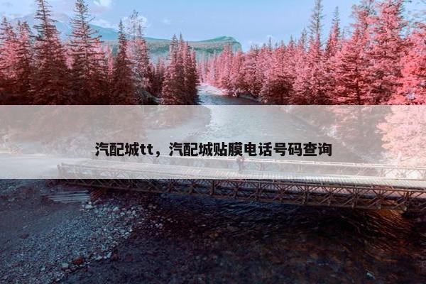 汽配城tt，汽配城贴膜电话号码查询