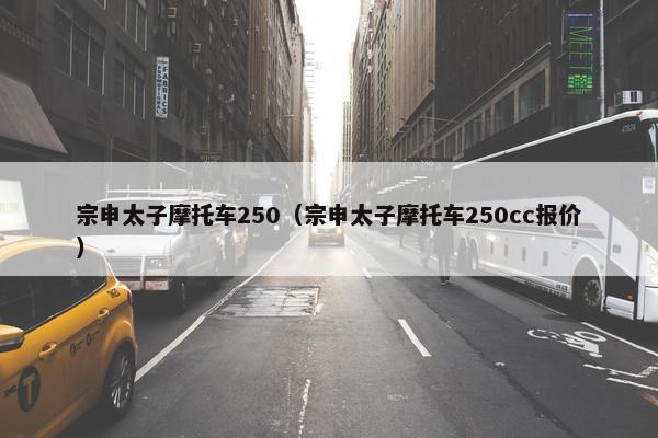 宗申太子摩托车250（宗申太子摩托车250cc报价）