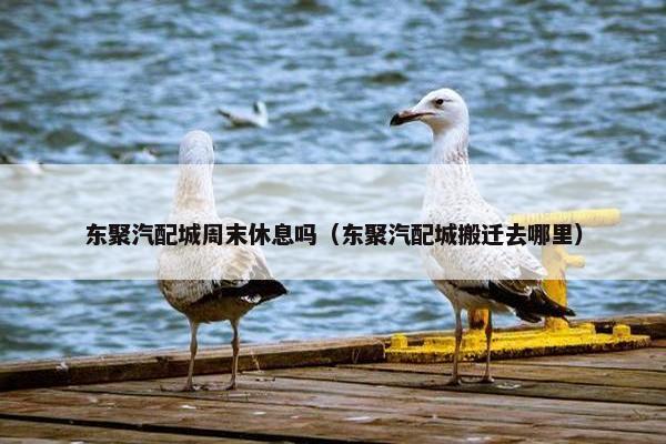 东聚汽配城周末休息吗（东聚汽配城搬迁去哪里）