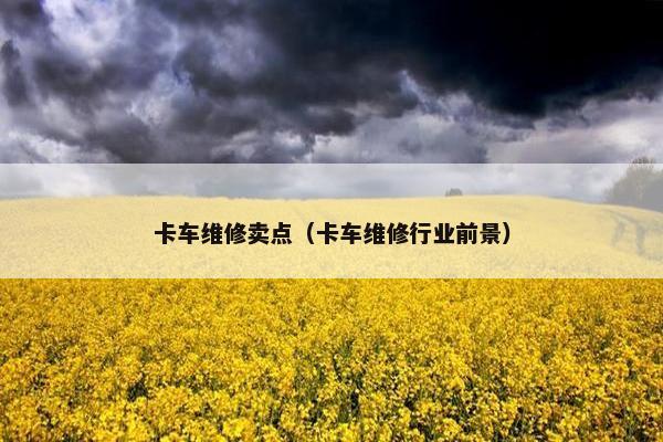 卡车维修卖点（卡车维修行业前景）