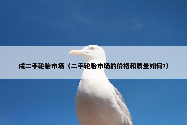 成二手轮胎市场（二手轮胎市场的价格和质量如何?）