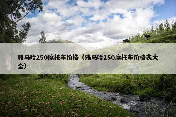 雅马哈250摩托车价格（雅马哈250摩托车价格表大全）