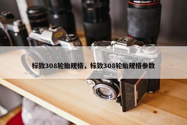 标致308轮胎规格，标致308轮胎规格参数