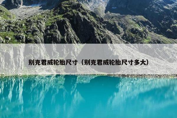 别克君威轮胎尺寸（别克君威轮胎尺寸多大）