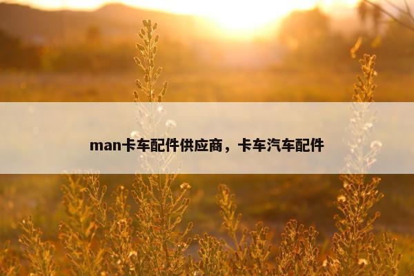 man卡车配件供应商，卡车汽车配件