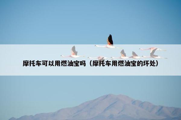 摩托车可以用燃油宝吗（摩托车用燃油宝的坏处）