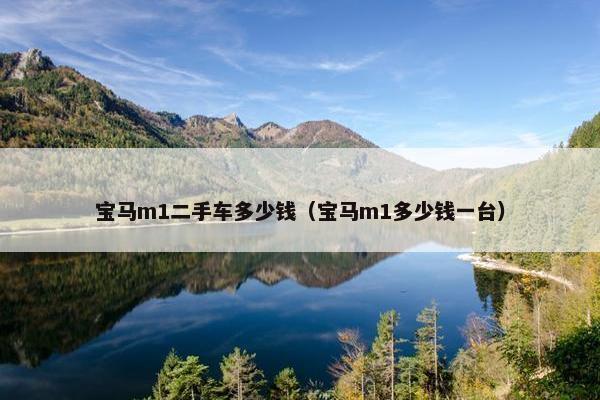宝马m1二手车多少钱（宝马m1多少钱一台）