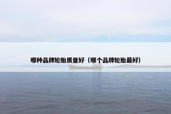 哪种品牌轮胎质量好（哪个品牌轮胎最好）