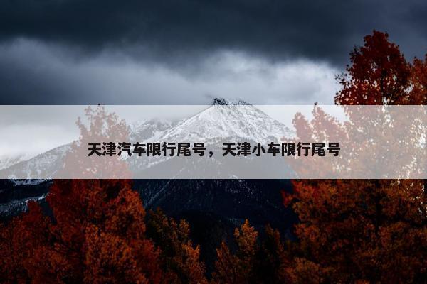 天津汽车限行尾号，天津小车限行尾号