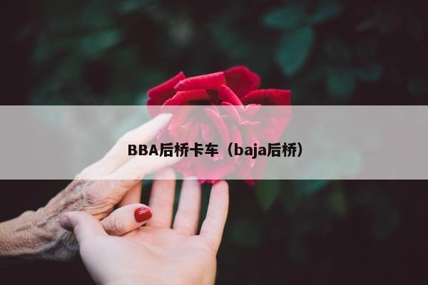 BBA后桥卡车（baja后桥）