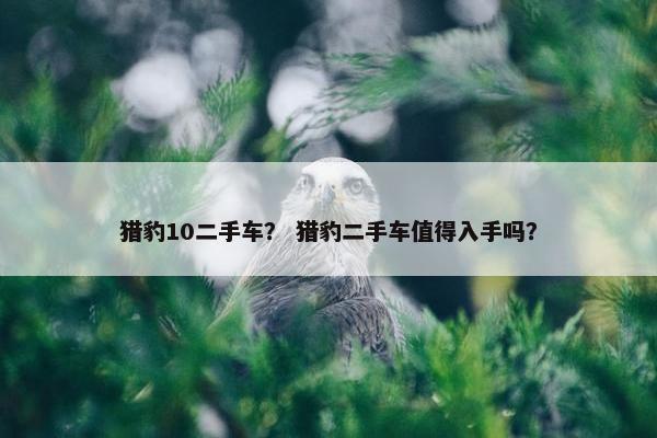 猎豹10二手车？ 猎豹二手车值得入手吗？