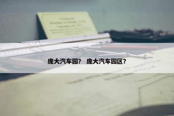 庞大汽车园？ 庞大汽车园区？