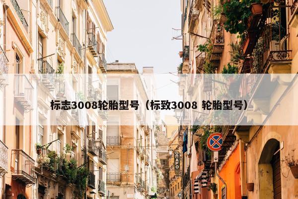 标志3008轮胎型号（标致3008 轮胎型号）