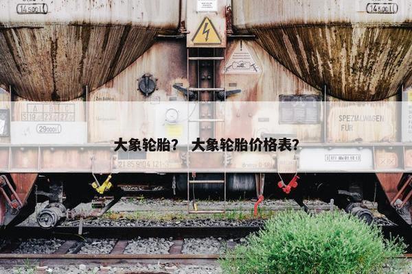 大象轮胎？ 大象轮胎价格表？
