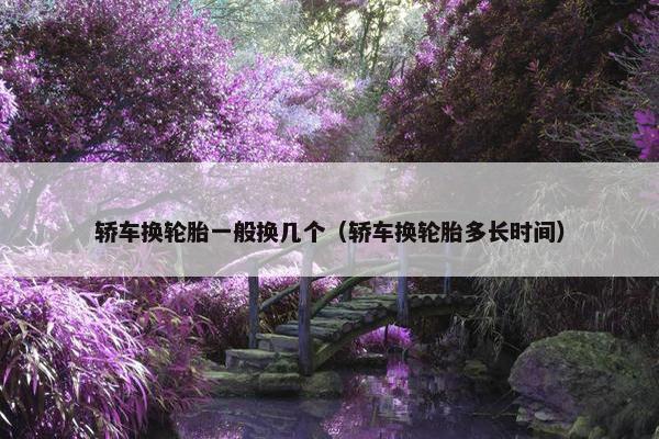 轿车换轮胎一般换几个（轿车换轮胎多长时间）