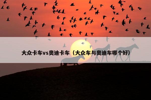 大众卡车vs奥迪卡车（大众车与奥迪车哪个好）