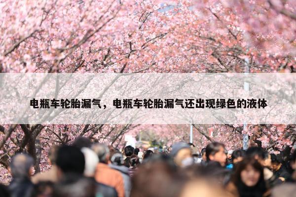 电瓶车轮胎漏气，电瓶车轮胎漏气还出现绿色的液体