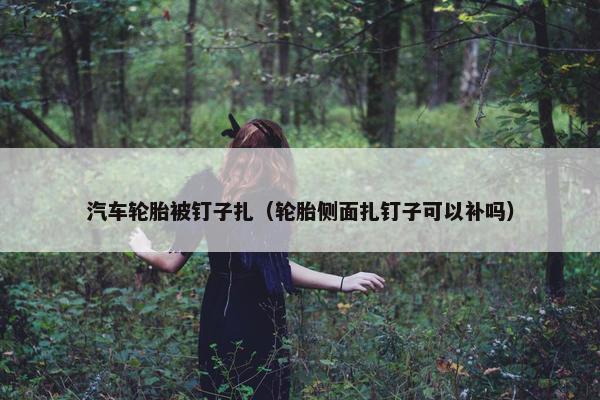 汽车轮胎被钉子扎（轮胎侧面扎钉子可以补吗）