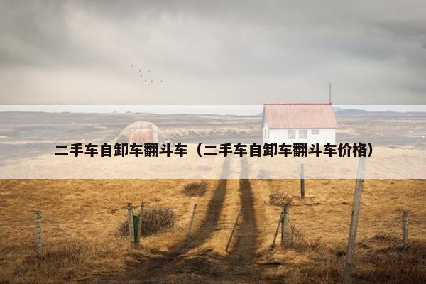 二手车自卸车翻斗车（二手车自卸车翻斗车价格）