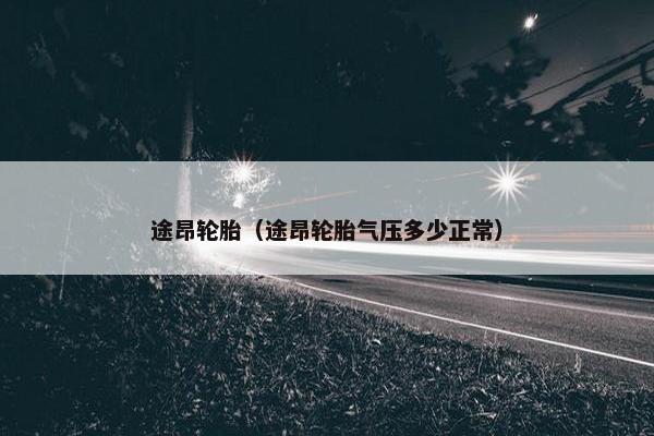 途昂轮胎（途昂轮胎气压多少正常）