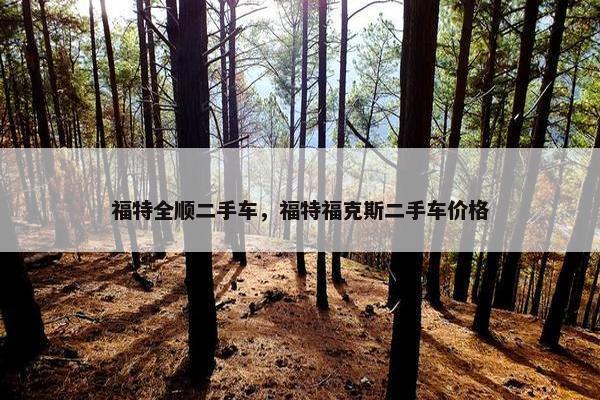 福特全顺二手车，福特福克斯二手车价格