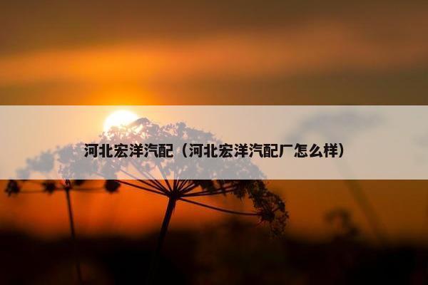 河北宏洋汽配（河北宏洋汽配厂怎么样）