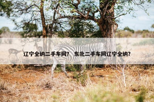 辽宁全纳二手车网？ 东北二手车网辽宁全纳？
