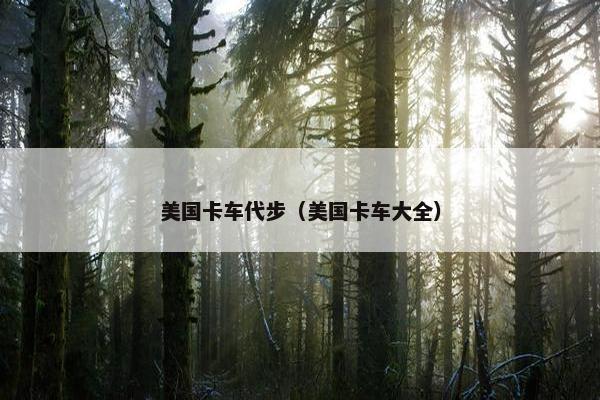 美国卡车代步（美国卡车大全）