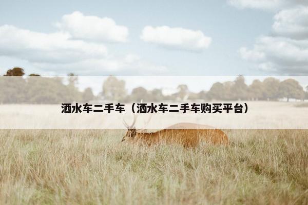 洒水车二手车（洒水车二手车购买平台）