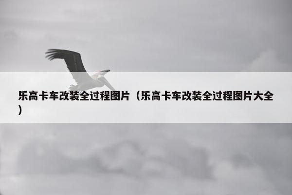 乐高卡车改装全过程图片（乐高卡车改装全过程图片大全）