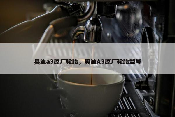 奥迪a3原厂轮胎，奥迪A3原厂轮胎型号