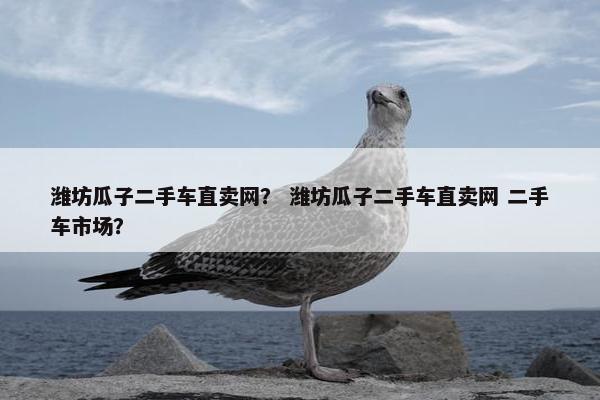 潍坊瓜子二手车直卖网？ 潍坊瓜子二手车直卖网 二手车市场？