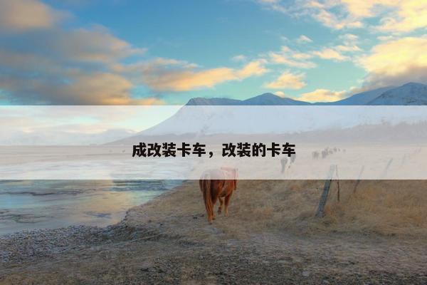 成改装卡车，改装的卡车