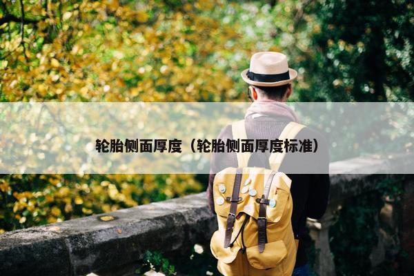 轮胎侧面厚度（轮胎侧面厚度标准）