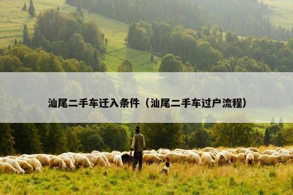 汕尾二手车迁入条件（汕尾二手车过户流程）