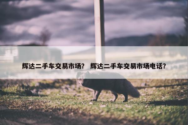 辉达二手车交易市场？ 辉达二手车交易市场电话？