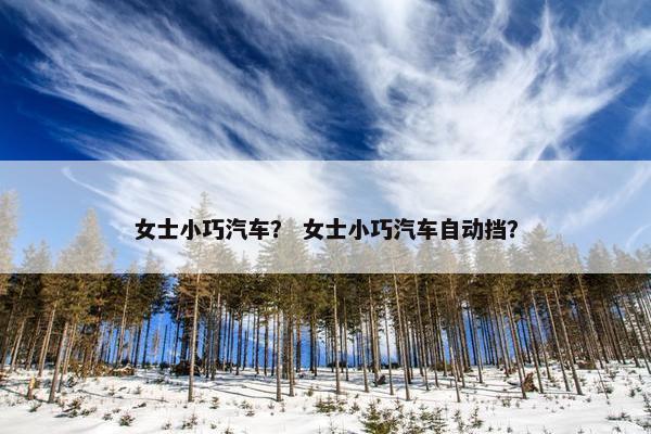 女士小巧汽车？ 女士小巧汽车自动挡？