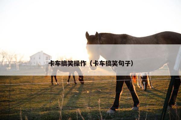 卡车搞笑操作（卡车搞笑句子）