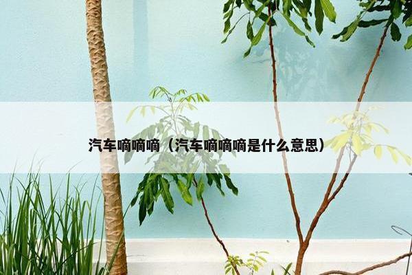 汽车嘀嘀嘀（汽车嘀嘀嘀是什么意思）