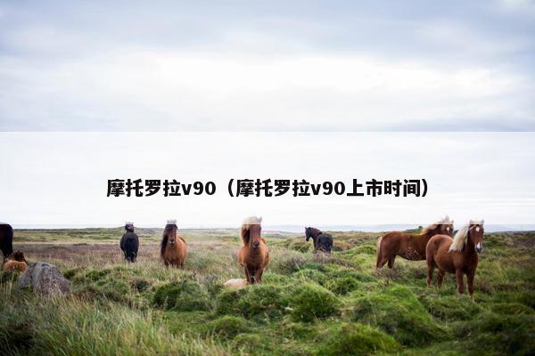 摩托罗拉v90（摩托罗拉v90上市时间）