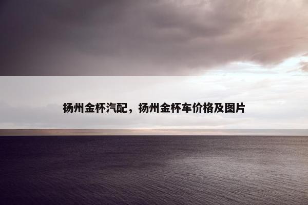 扬州金杯汽配，扬州金杯车价格及图片