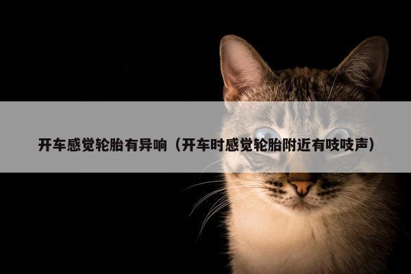 开车感觉轮胎有异响（开车时感觉轮胎附近有吱吱声）