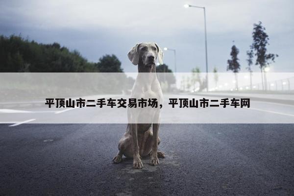 平顶山市二手车交易市场，平顶山市二手车网