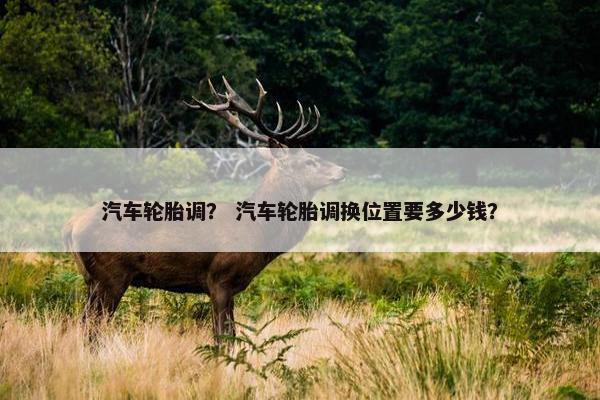 汽车轮胎调？ 汽车轮胎调换位置要多少钱？