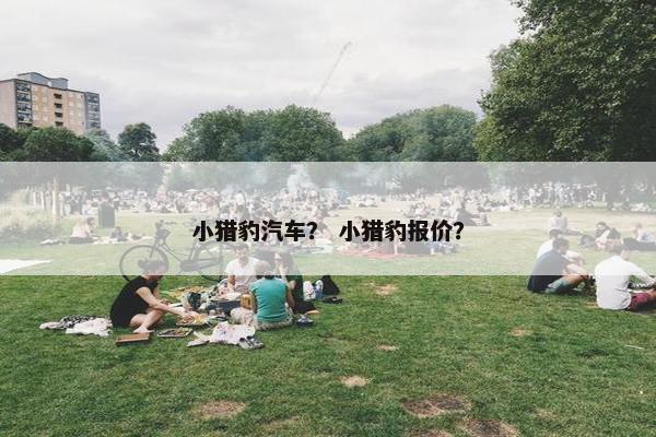 小猎豹汽车？ 小猎豹报价？