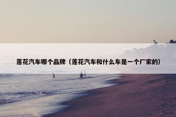 莲花汽车哪个品牌（莲花汽车和什么车是一个厂家的）