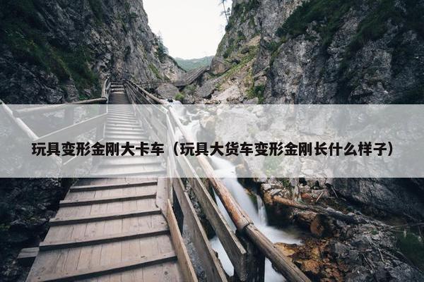 玩具变形金刚大卡车（玩具大货车变形金刚长什么样子）